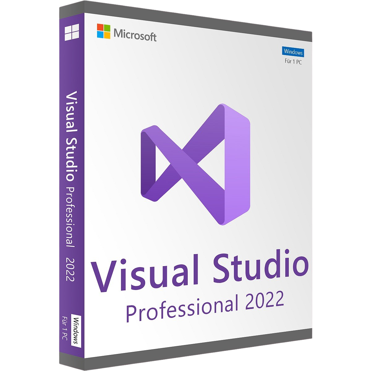 Visual Studio 2022 Professional