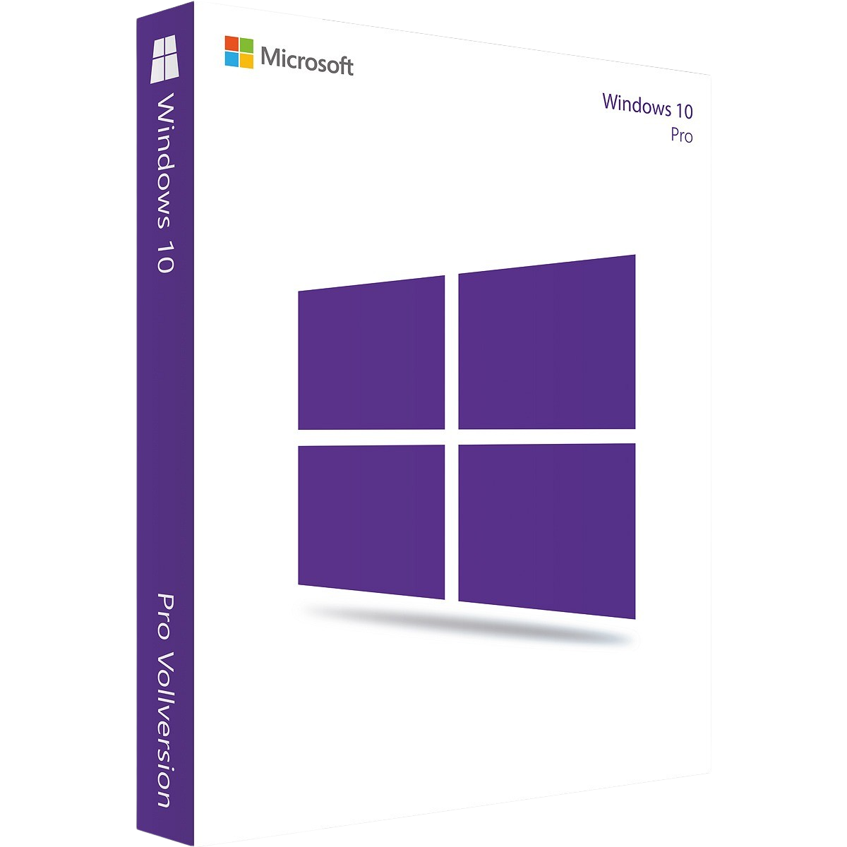 Windows 10 Professional