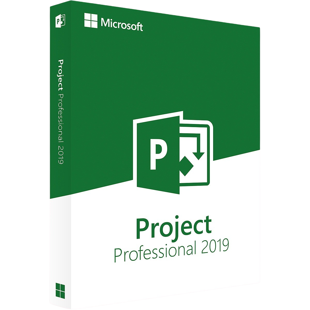Microsoft Project 2019 Professional
