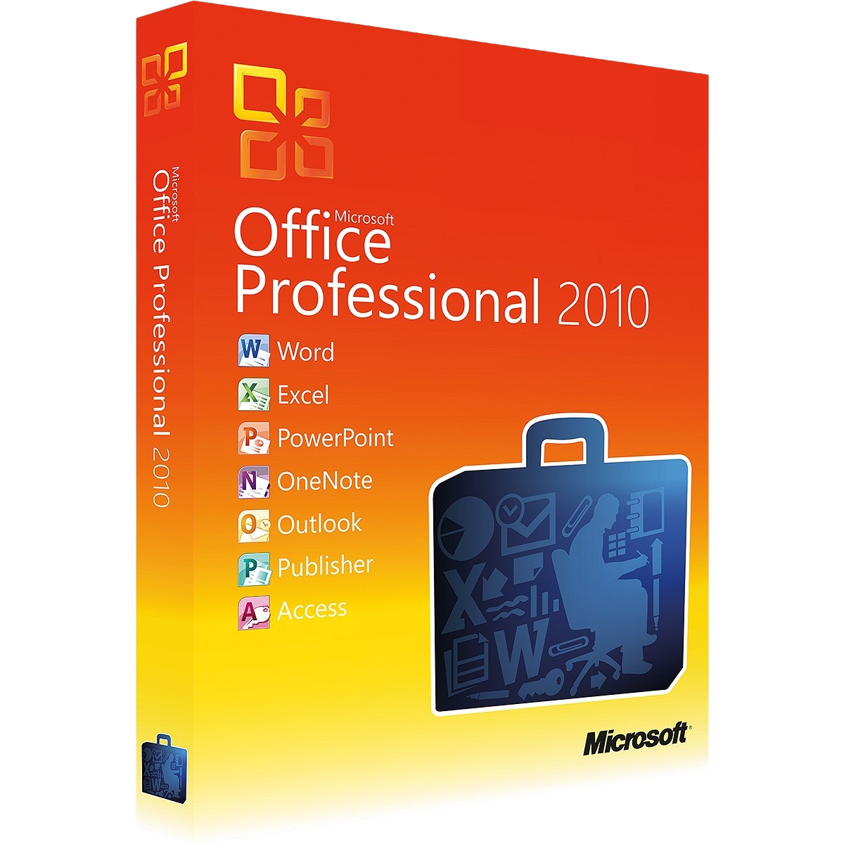 Office 2010 Professional