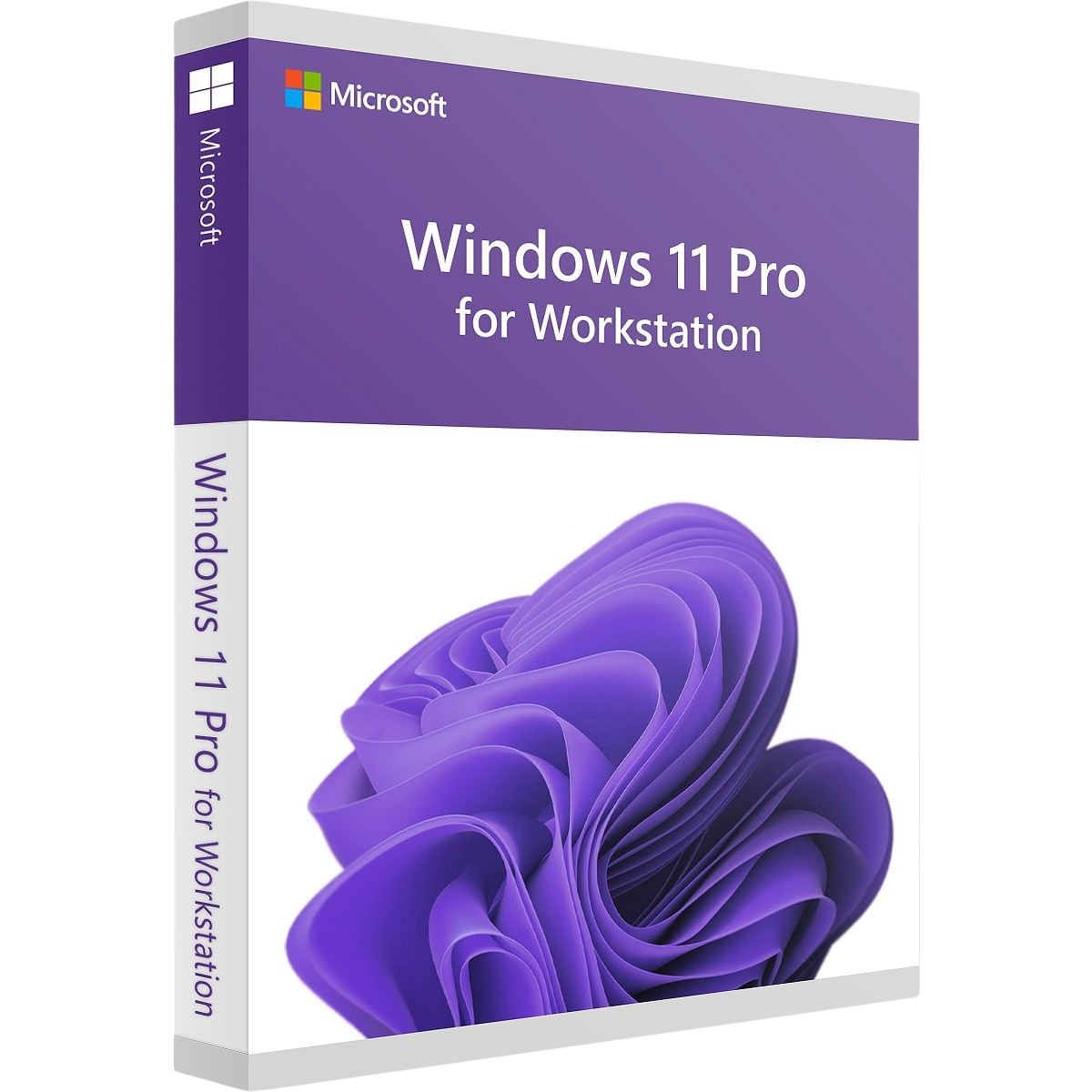 Windows 11 Pro for Workstation