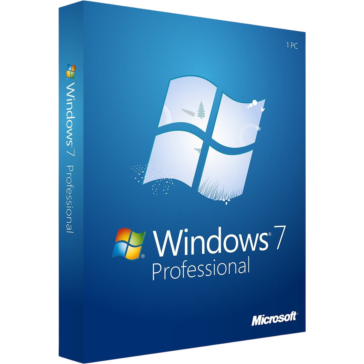 Windows 7 Professional